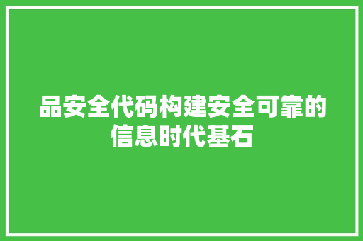 品安全代码构建安全可靠的信息时代基石