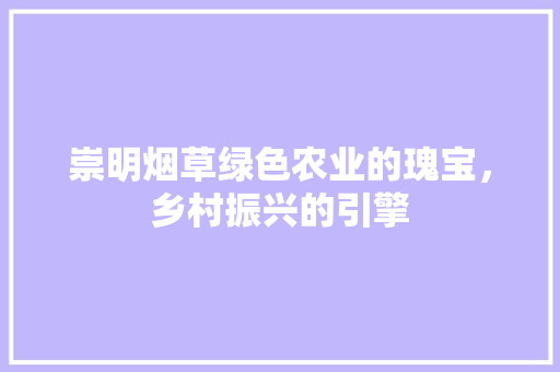 崇明烟草绿色农业的瑰宝，乡村振兴的引擎