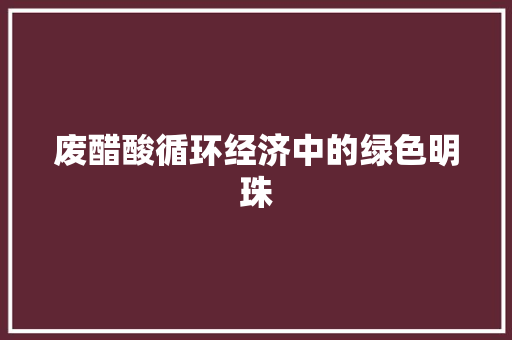废醋酸循环经济中的绿色明珠