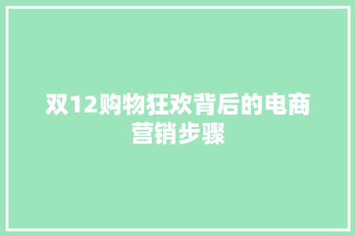 双12购物狂欢背后的电商营销步骤