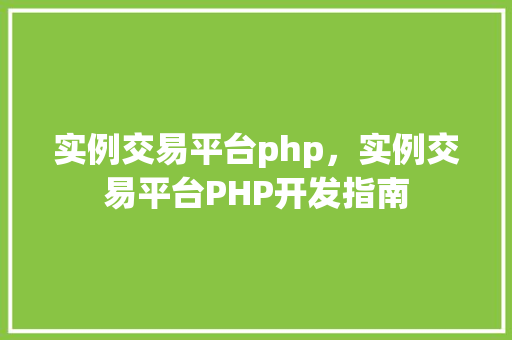 实例交易平台php，实例交易平台PHP开发指南