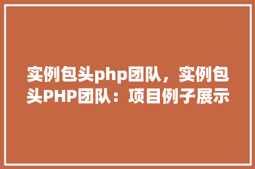 实例包头php团队，实例包头PHP团队：项目例子展示