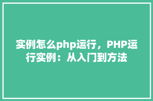 实例怎么php运行，PHP运行实例：从入门到方法