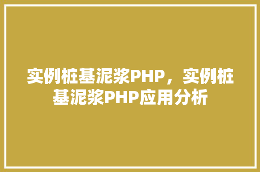 实例桩基泥浆PHP，实例桩基泥浆PHP应用分析