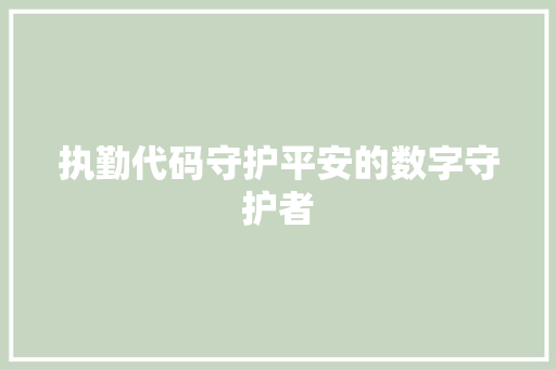 执勤代码守护平安的数字守护者