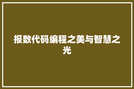 报数代码编程之美与智慧之光