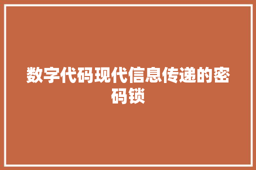 数字代码现代信息传递的密码锁