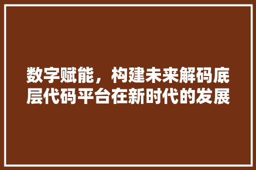 数字赋能，构建未来解码底层代码平台在新时代的发展