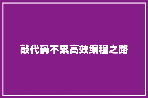 敲代码不累高效编程之路