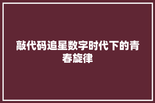 敲代码追星数字时代下的青春旋律