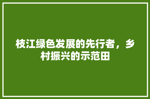枝江绿色发展的先行者，乡村振兴的示范田