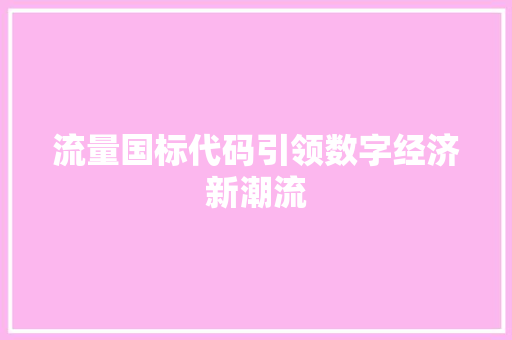 流量国标代码引领数字经济新潮流