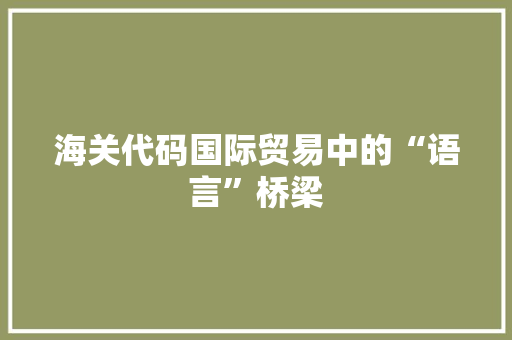 海关代码国际贸易中的“语言”桥梁