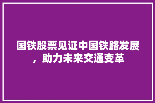 国铁股票见证中国铁路发展，助力未来交通变革