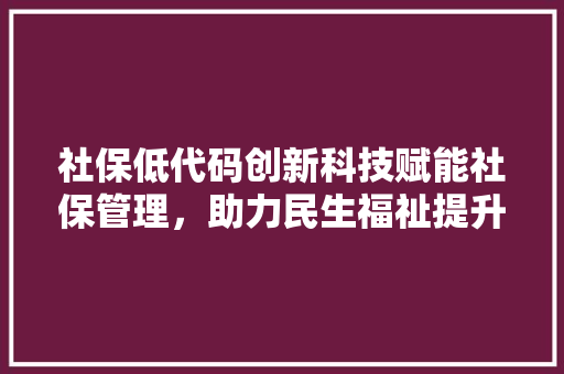 社保低代码创新科技赋能社保管理，助力民生福祉提升