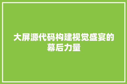 大屏源代码构建视觉盛宴的幕后力量