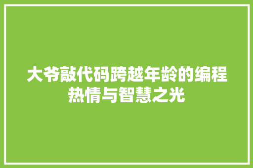 大爷敲代码跨越年龄的编程热情与智慧之光