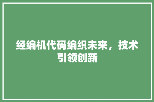 经编机代码编织未来，技术引领创新