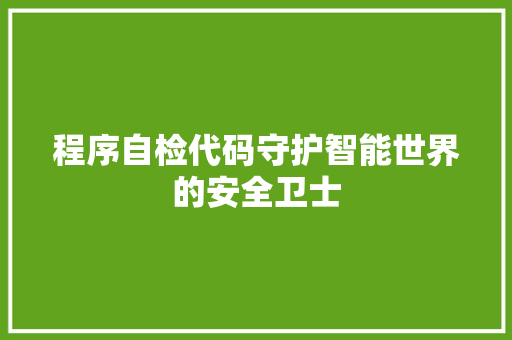 程序自检代码守护智能世界的安全卫士