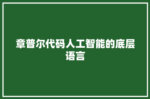 章普尔代码人工智能的底层语言