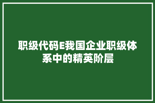 职级代码E我国企业职级体系中的精英阶层