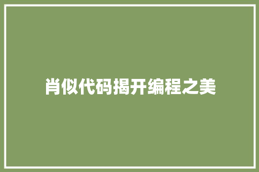 肖似代码揭开编程之美