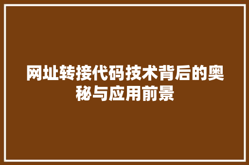网址转接代码技术背后的奥秘与应用前景