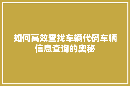 如何高效查找车辆代码车辆信息查询的奥秘