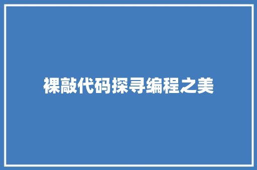 裸敲代码探寻编程之美