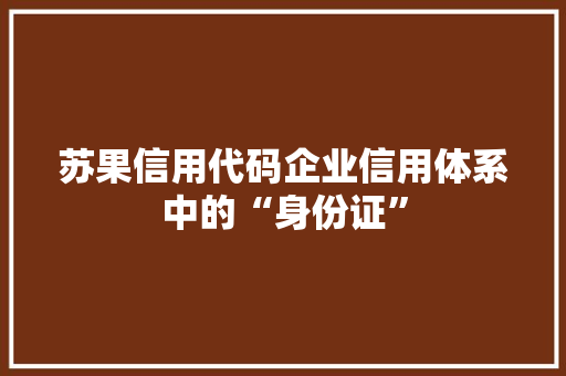 苏果信用代码企业信用体系中的“身份证”