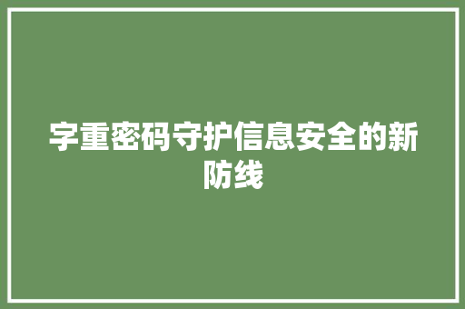字重密码守护信息安全的新防线
