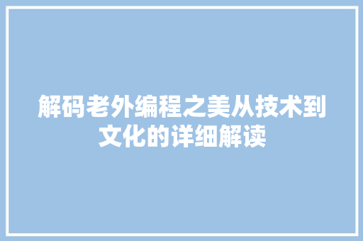 解码老外编程之美从技术到文化的详细解读