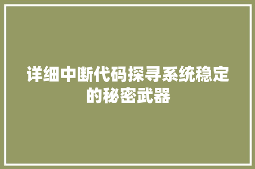 详细中断代码探寻系统稳定的秘密武器
