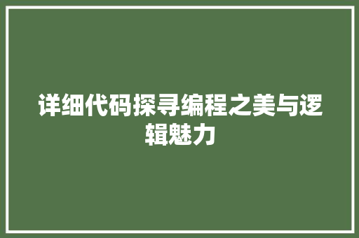 详细代码探寻编程之美与逻辑魅力