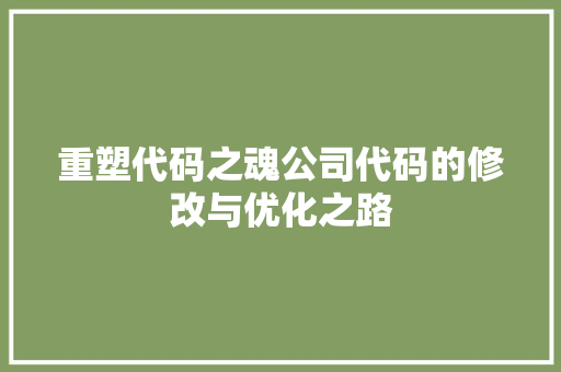 重塑代码之魂公司代码的修改与优化之路