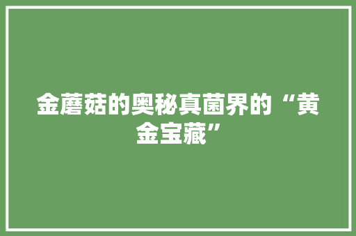 金蘑菇的奥秘真菌界的“黄金宝藏”