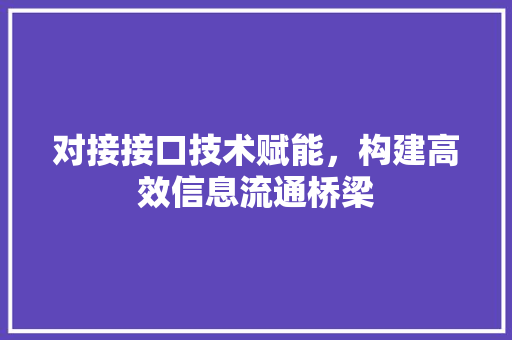 对接接口技术赋能，构建高效信息流通桥梁