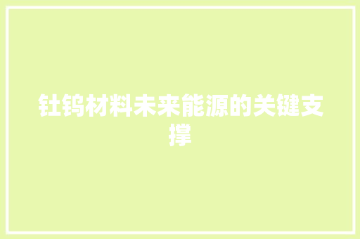 钍钨材料未来能源的关键支撑