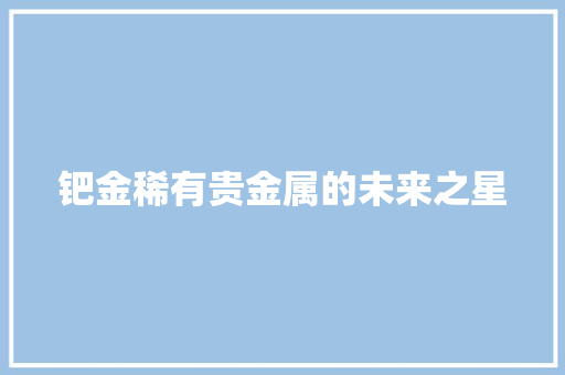 钯金稀有贵金属的未来之星