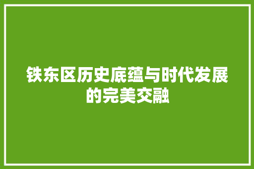 铁东区历史底蕴与时代发展的完美交融