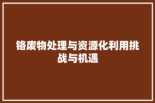 铬废物处理与资源化利用挑战与机遇