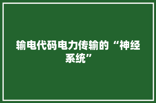 输电代码电力传输的“神经系统”