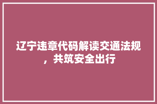 辽宁违章代码解读交通法规，共筑安全出行