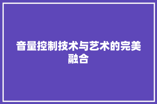 音量控制技术与艺术的完美融合