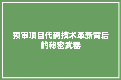 预审项目代码技术革新背后的秘密武器
