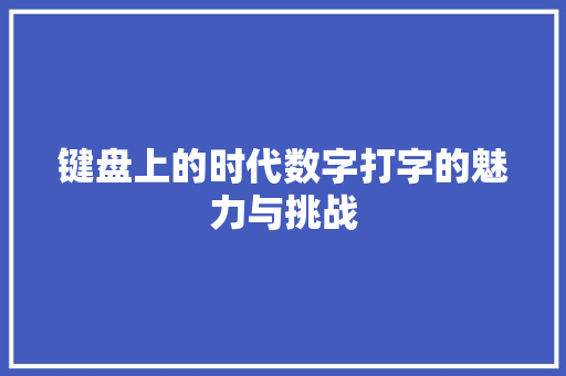 键盘上的时代数字打字的魅力与挑战