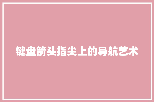 键盘箭头指尖上的导航艺术