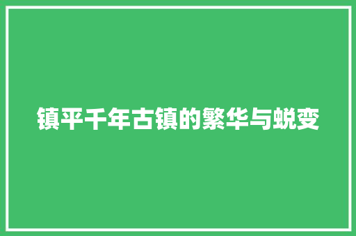 镇平千年古镇的繁华与蜕变