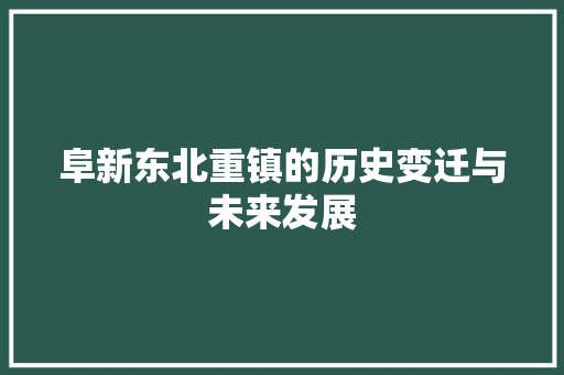 阜新东北重镇的历史变迁与未来发展