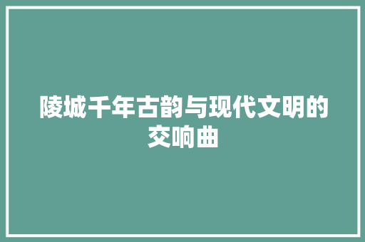 陵城千年古韵与现代文明的交响曲